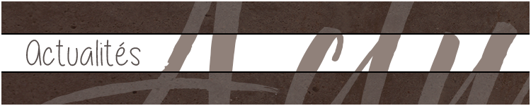 banniere actualites