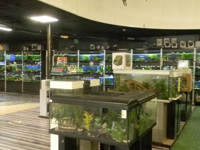 &Agrave; L'INT&Eacute;RIEUR