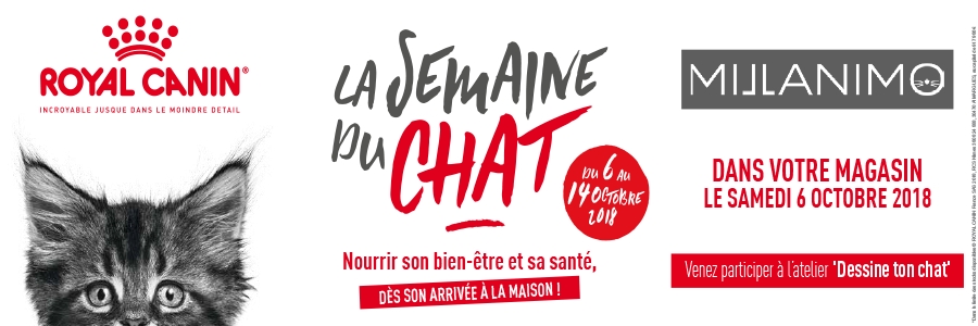 LE 6 OCTOBRE C'EST LE D&Eacute;MARRAGE DE LA CAT WEEK AVEC PLEIN DE SURPRISES !!!