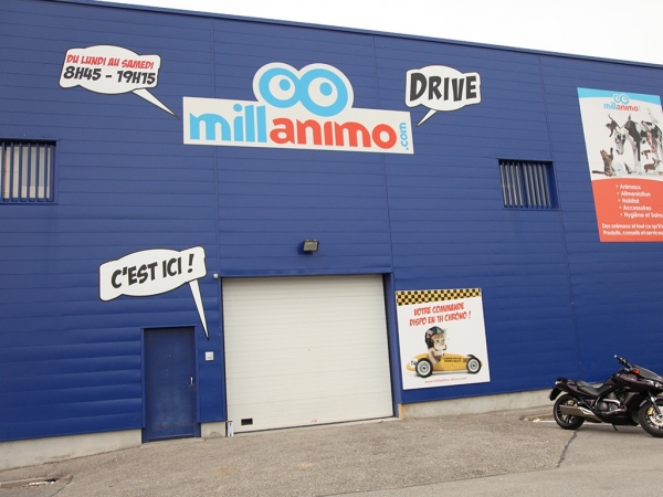 MILLANIMO DRIVE