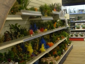 &Agrave; L'INT&Eacute;RIEUR