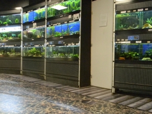 &Agrave; L'INT&Eacute;RIEUR