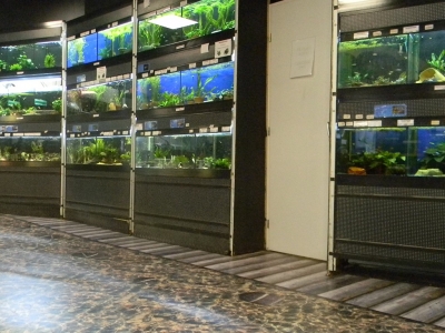 &Agrave; L'INT&Eacute;RIEUR