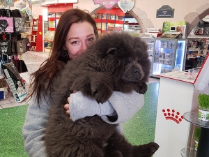 ILS SE SONT CHOISIS !