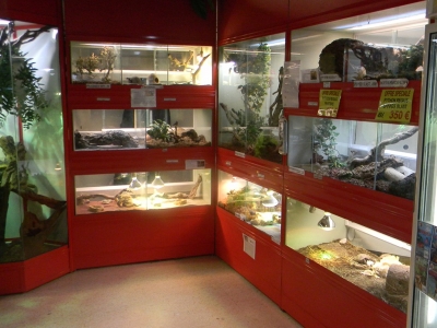 &Agrave; L'INT&Eacute;RIEUR