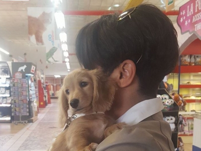 ILS SE SONT CHOISIS !