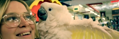 CACATO&Egrave;S, PERROQUET D'AUSTRALIE