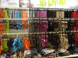 &Agrave; L'INT&Eacute;RIEUR