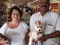 ILS SE SONT CHOISIS !