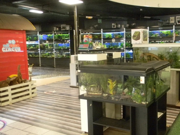 AQUARIUMS