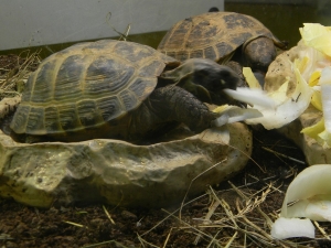 &Agrave; L'INT&Eacute;RIEUR