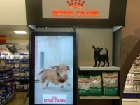 &Agrave; L'INT&Eacute;RIEUR