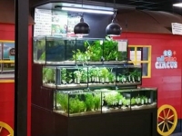 &Agrave; L'INT&Eacute;RIEUR