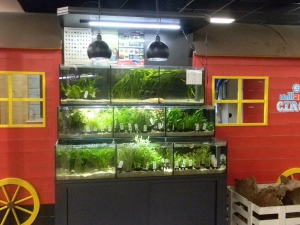 &Agrave; L'INT&Eacute;RIEUR