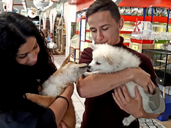 ILS SE SONT CHOISIS !