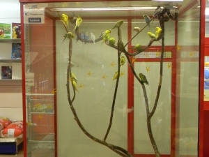 &Agrave; L'INT&Eacute;RIEUR